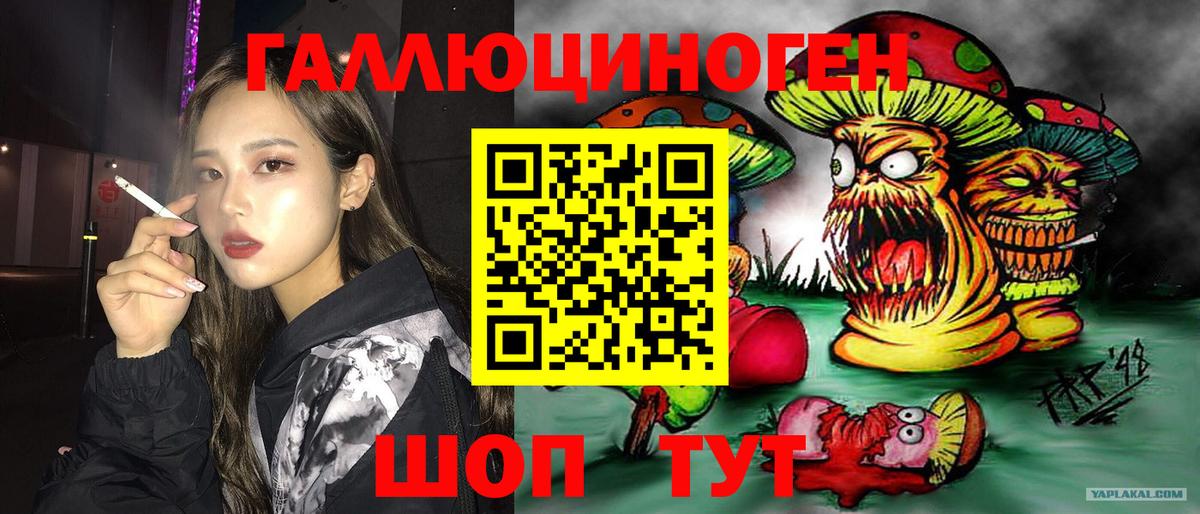 Псилоцибиновые грибы прущие грибы Урюпинск