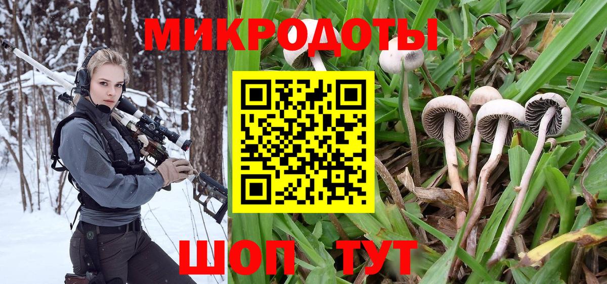 Урюпинск  Псилоцибиновые грибы Magic Shrooms  Псилоцибиновые грибы Psilocybine cubensis  Вход с VPN 